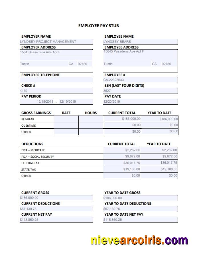 Employee Paystub Edited